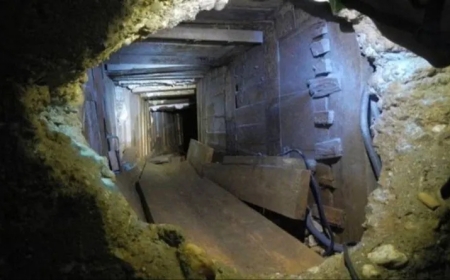 Kriminal Tarihte Dahi Planlanmış Vurgunlar